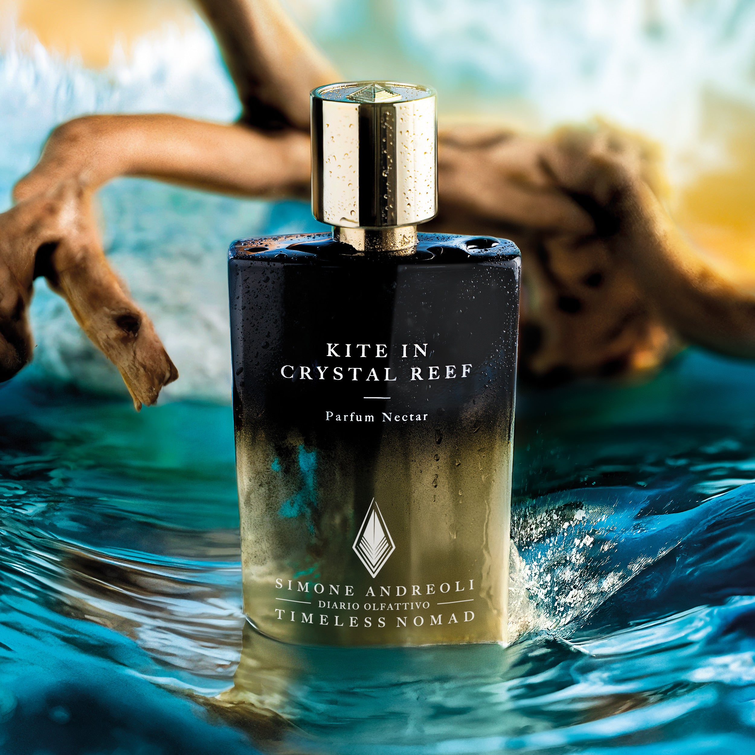 Kite in Crystal Reef