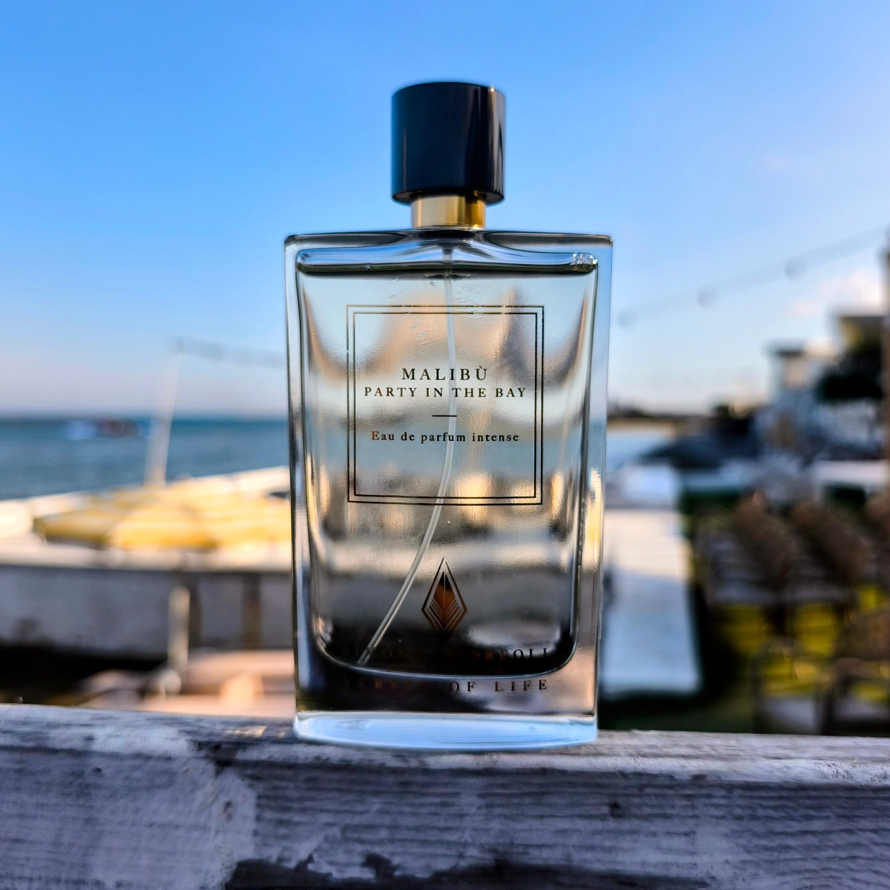 Malibù - Party in the Bay